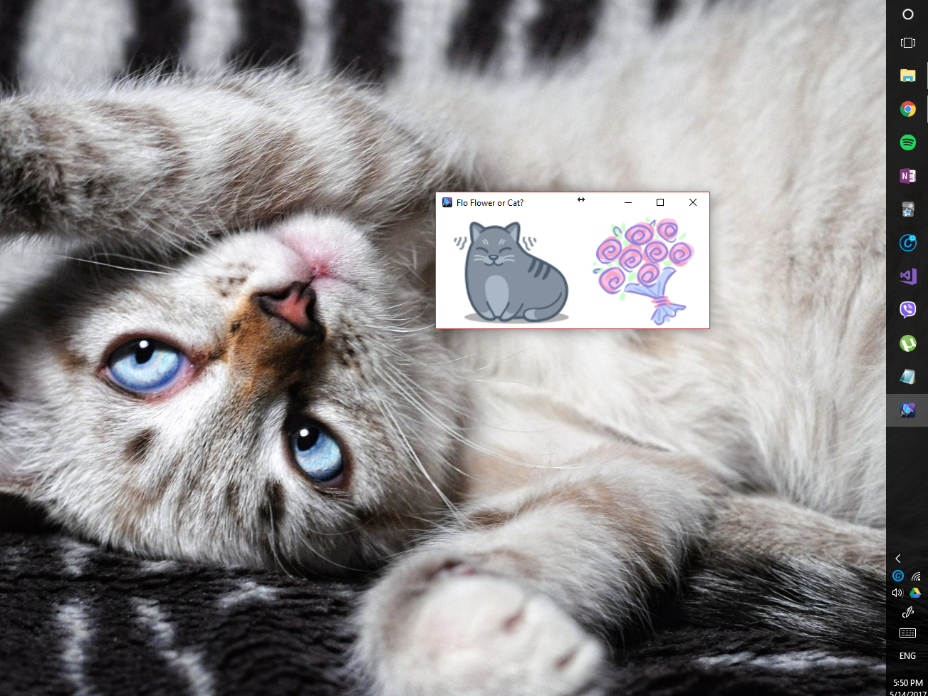 Cats or Flowers Surprise Changing Wallpaper App