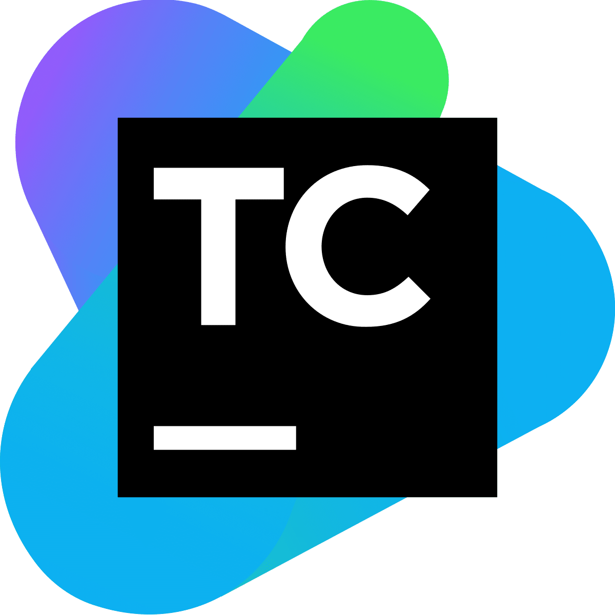 team_city_logo